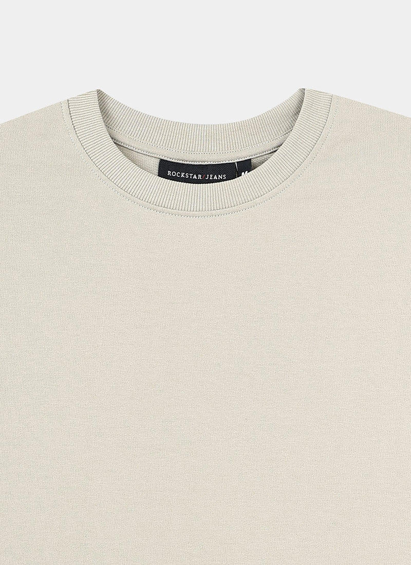 SIGNATURE Oversized Solid Cotton T-Shirt Light Grey - Details View