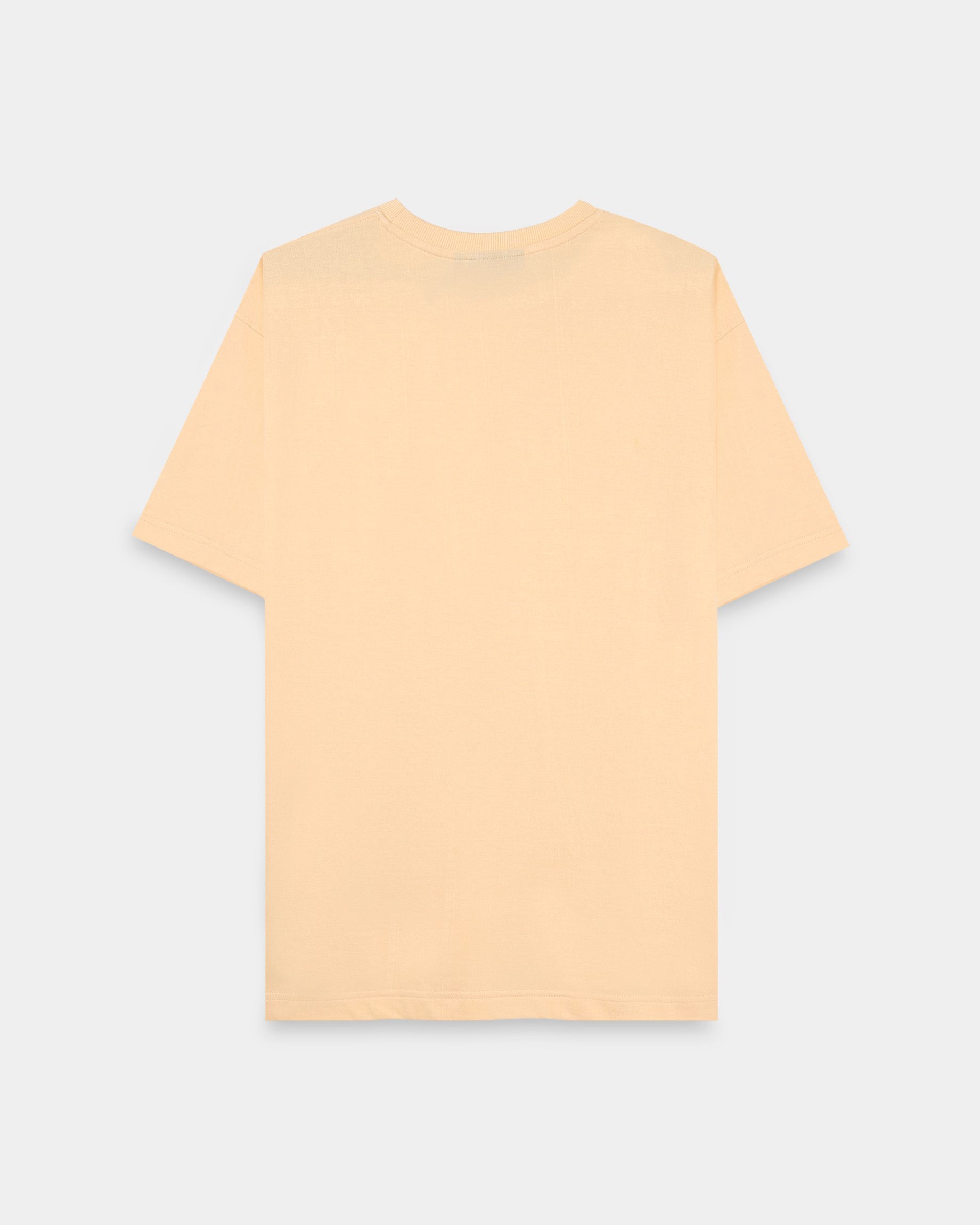 solid tee shirt